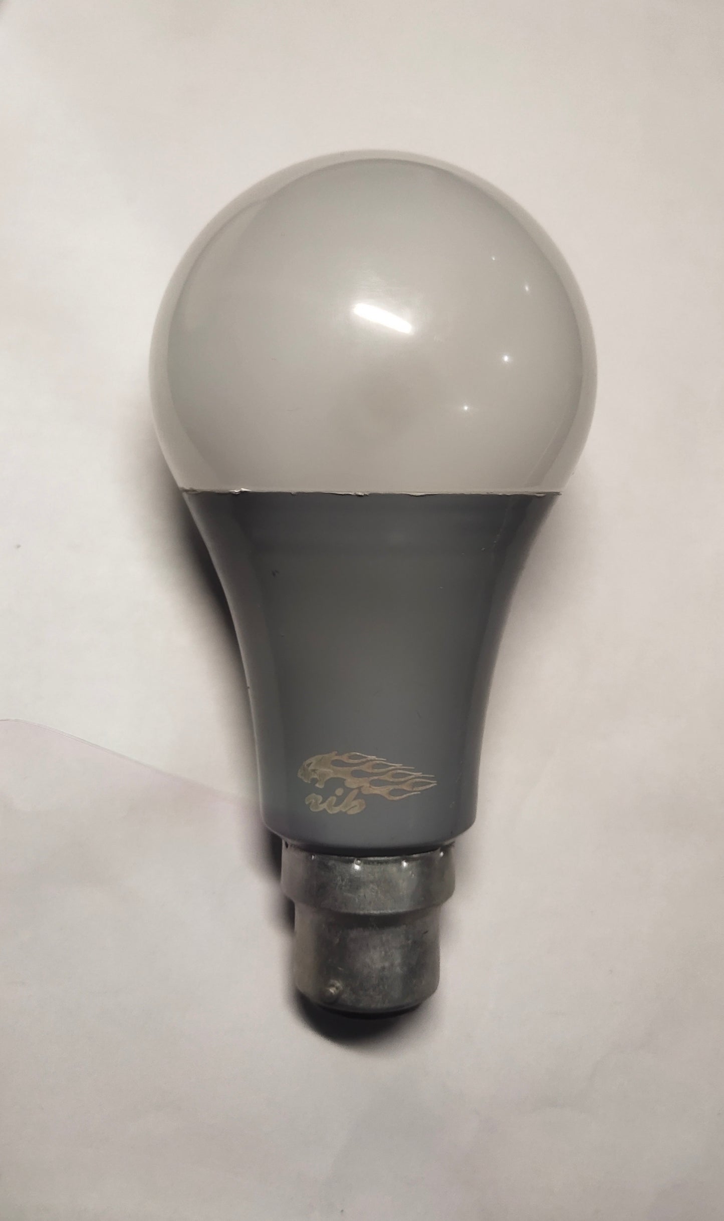 RIB SMART MOTION SENSOR 10W LED BULB